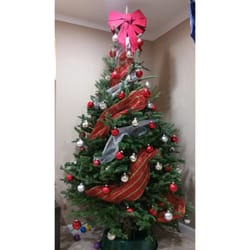 Almost Heavenly Christmas Trees - Our first real Christmas tree as a family (2014)