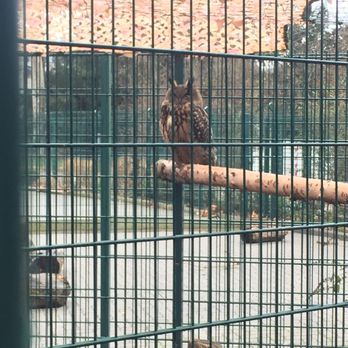 Parc de l'Orangerie - Owls - Parks Near Me Parc de l'Orangerie - Owls - Parks Near Me