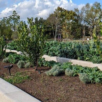 Houston Botanic Garden - Vegetables everywhere - Venues & Event Spaces Near Me - Houston, Texas Houston Botanic Garden - Vegetables everywhere - Venues & Event Spaces Near Me - Houston, Texas