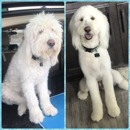 Before and after!