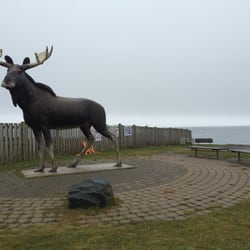 Silver Sands Beach Park - Big moose