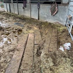 R & L Feed - Knowing rain would be an issue I set up boards set for a walkway. They used it