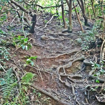 Kalauao Trail - Hiking Near Me - Aiea, Hawaii