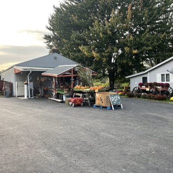 Wheatfield Pumpkin Farm - Pumpkins, mums, and more! - Attraction Farms Near Me - North Tonawanda, New York Wheatfield Pumpkin Farm - Pumpkins, mums, and more! - Attraction Farms Near Me - North Tonawanda, New York