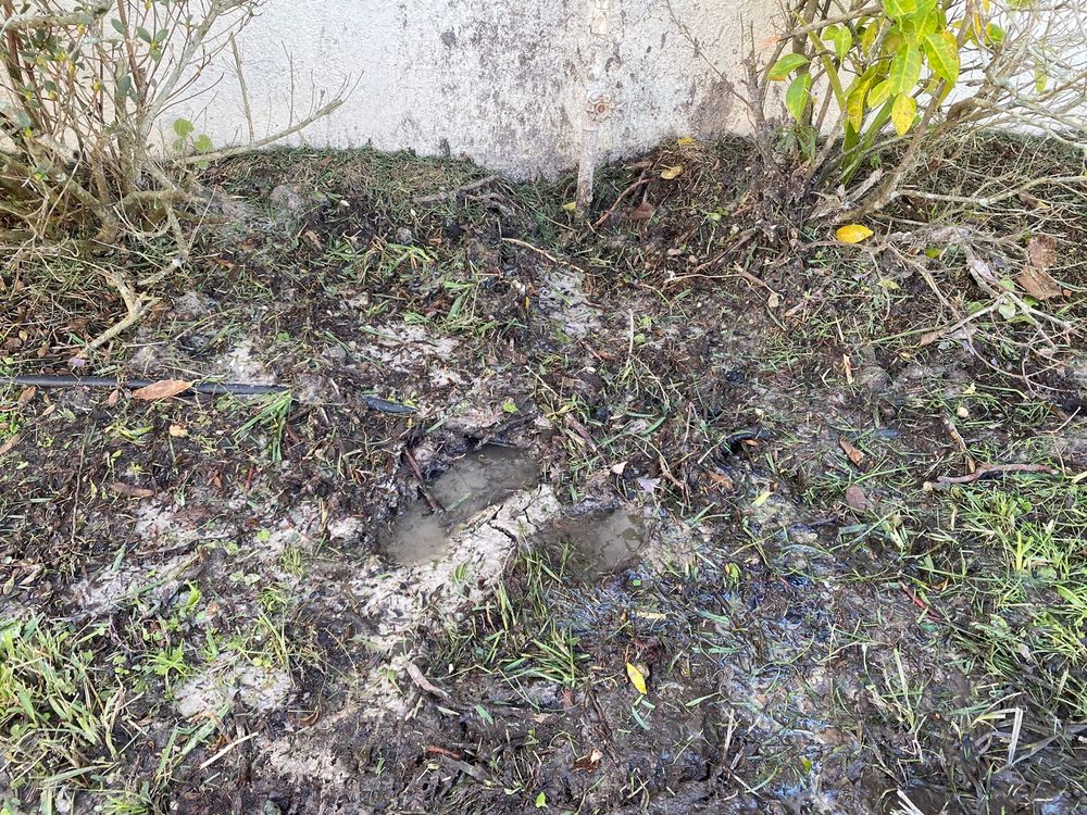 MILTON OUTDOORS SPRINKLER REPAIR Windermere, Florida Irrigation