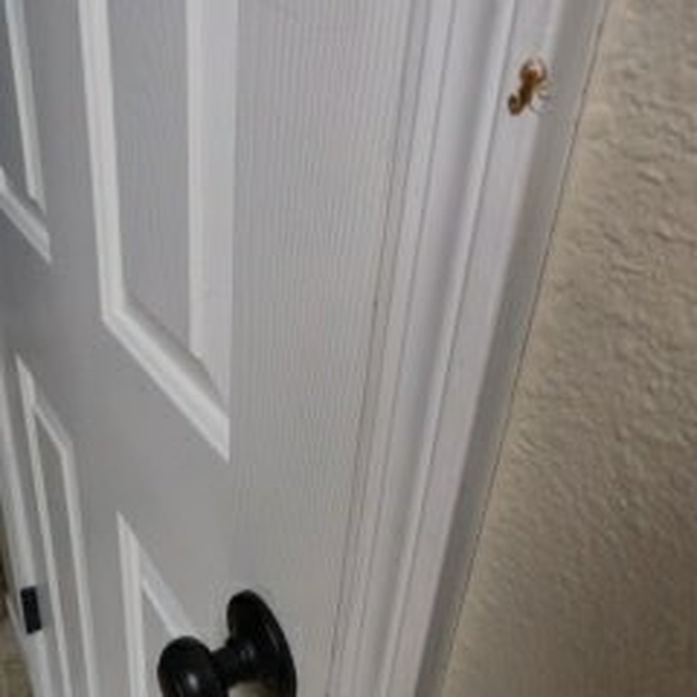 Trying to grab some snacks Trying to grab some snacks