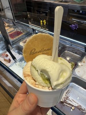 Gelateria Pasticceria Badiani by null