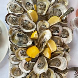 Oysters