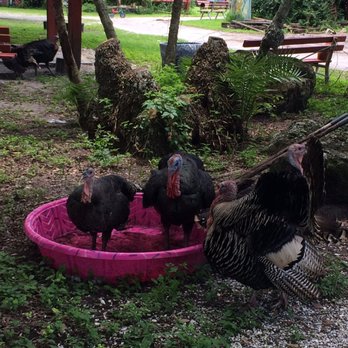 Fruitville Grove - Fruits & Veggies Near Me - Sarasota, Florida