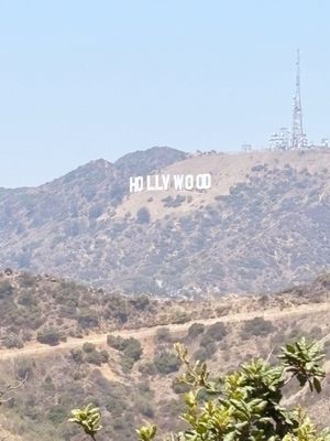 Hollywood Sign by null