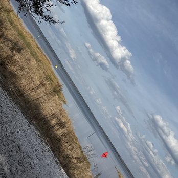 Lake Louisa State Park - Lake front view - Parks Near Me - Clermont, Florida