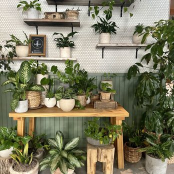 1 Kitchen - Cocktail Bars Near Me - Toronto, Ontario