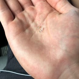 This is the glass found in the Sandwich ordered today. This is the glass found in the Sandwich ordered today.