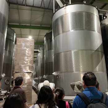 LA Cetto - LA Cetto - Wineries Near Me - Valle de Guadalupe, BCN
