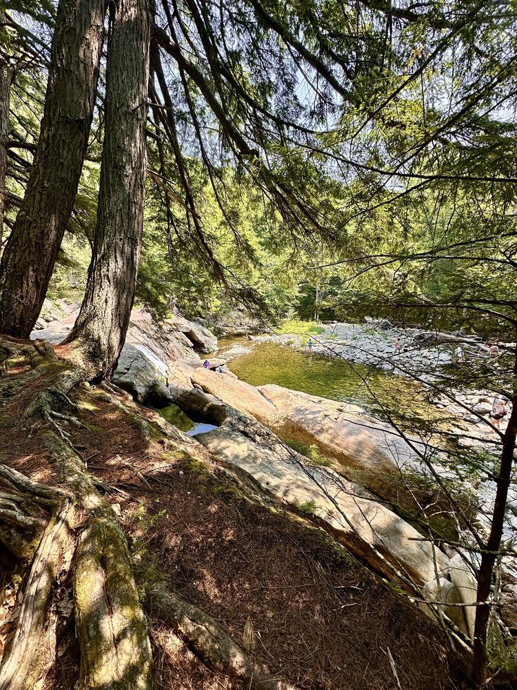 Buttermilk Falls Logo