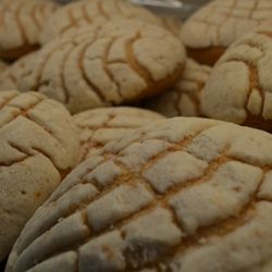 Alta Fibra - Conchas