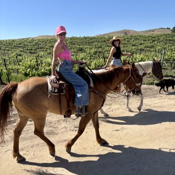 Lucky 7 Trail Rides - Horseback Riding Near Me Lucky 7 Trail Rides - Horseback Riding Near Me