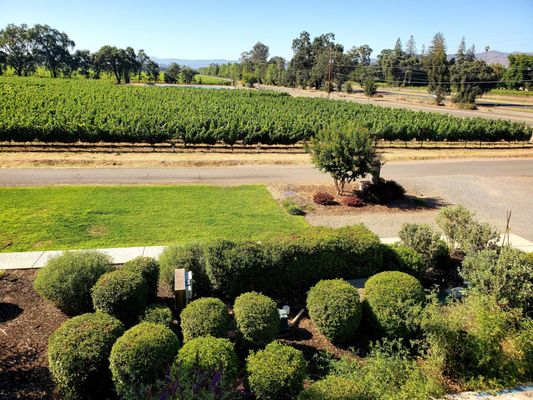 The Setting Inn Napa Valley by null