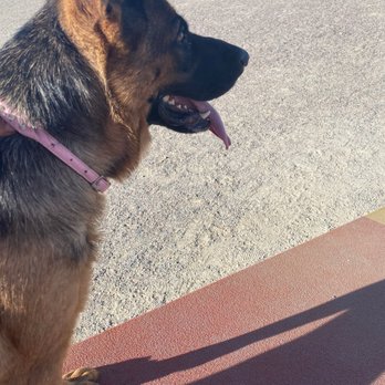 Big Dry Creek Dog Park - Happiness is a dog - Dog Parks Near Me - Westminster, Colorado