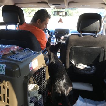 K9 Cars - new friends :) - Pet Transportation Near Me - Astoria, New York K9 Cars - new friends :) - Pet Transportation Near Me - Astoria, New York