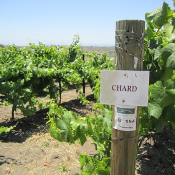 Leoness Cellars - Venues & Event Spaces Near Me - Temecula, California