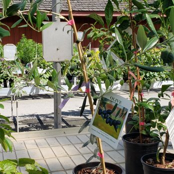 Devan Greenhouses - Nurseries & Gardening Near Me - Abbotsford, British Columbia Devan Greenhouses - Nurseries & Gardening Near Me - Abbotsford, British Columbia