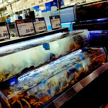 H Mart - Union - Live Giant crabs . Lobsters ..HUMONGOUS live eels. - Grocery Near Me - Flushing, New York H Mart - Union - Live Giant crabs . Lobsters ..HUMONGOUS live eels. - Grocery Near Me - Flushing, New York