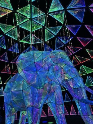 Saint Louis Zoo by null