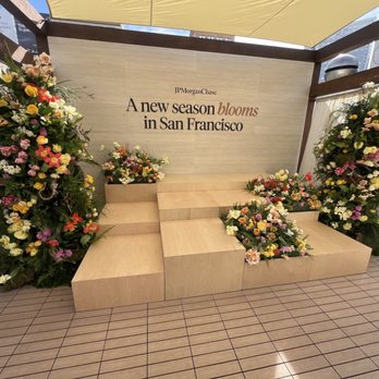 Nigella SF - Florists Near Me - San Francisco, California Nigella SF - Florists Near Me - San Francisco, California