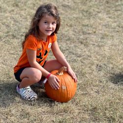 Yogi Bear's Jellystone Park - Pumpkin growing