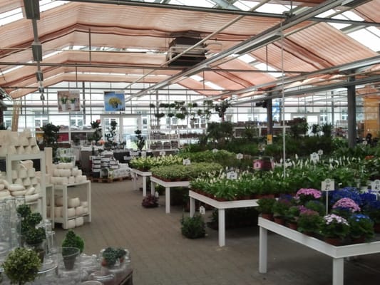 An der Kommandantur 15, Wetzlar, Hessen, Germany Florists Phone