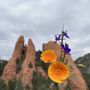 Photo of Glen Eyrie