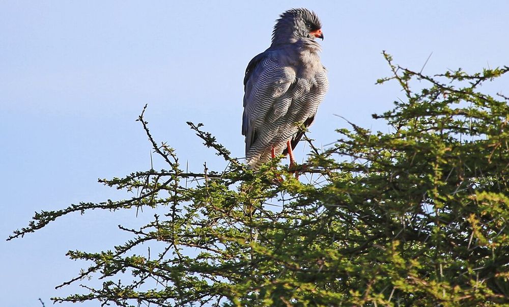 Dhahabu Tours & Safaris