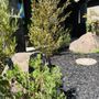 Photo of Green Horizon Lanscaping