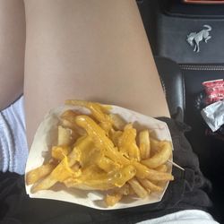 Cardinal Drive-In - Cheese fries