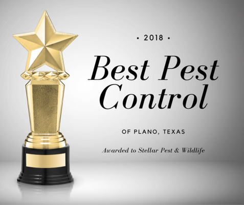 Best Pest Control! - Our goal was not just to start another Texas pest control company but to build a company that you will be happy to do business with, one that is very detailed, reliable and solves problems swiftly, one that tailors solutions to your problems specifically and provides a customer service experience that is second to none. We and our customers feel that we have done just that! Best Pest Control! - Our goal was not just to start another Texas pest control company but to build a company that you will be happy to do business with, one that is very detailed, reliable and solves problems swiftly, one that tailors solutions to your problems specifically and provides a customer service experience that is second to none. We and our customers feel that we have done just that!