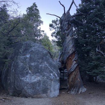 Tahquitz Peak via Devil's Slide Trail - Hiking Near Me - Idyllwild-Pine Cove, California Tahquitz Peak via Devil's Slide Trail - Hiking Near Me - Idyllwild-Pine Cove, California