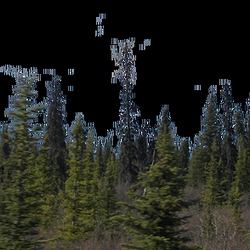 Spokane Septic Systems