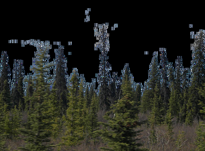 Slide of Spokane Septic Systems