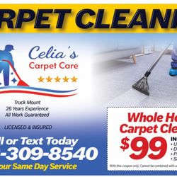 Celia Carpet Care