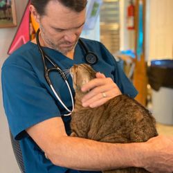 Dr. Jacob Head and Bamboo
