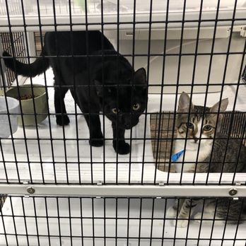 Pet Supermarket - Pet Stores Near Me - Tamarac, Florida Pet Supermarket - Pet Stores Near Me - Tamarac, Florida