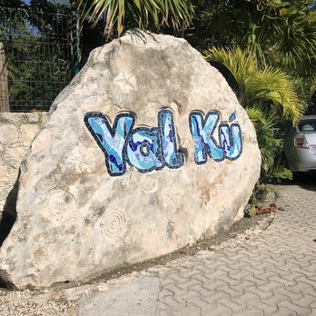 Yal ku laguna - Tours Near Me - Akumal, ROO