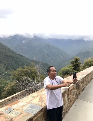 Sequoia National Park's Tunnel Log by null