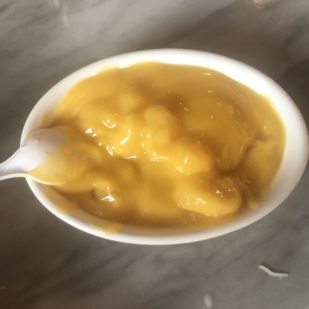 Persis Indian Grill - Mango Custard - Indian Near Me - Lake Mary, Florida Persis Indian Grill - Mango Custard - Indian Near Me - Lake Mary, Florida