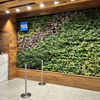 The Centurion Lounge - Living wall in the Entryway - Airport Lounges Near Me - Las Vegas, Nevada The Centurion Lounge - Living wall in the Entryway - Airport Lounges Near Me - Las Vegas, Nevada