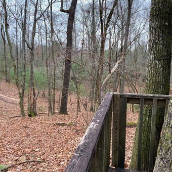 Forrest Hills Resort - View off the deck of Cabin 21 - Venues & Event Spaces Near Me - Dahlonega, Georgia