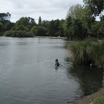 Western Springs Park - Local Flavor Near Me - Auckland, AUK