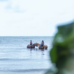 Legacy Horsemanship - Aunty Leolani sharing her wisdom while we were in the water.