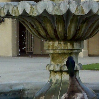 Almansor Park - They have ducks. - Parks Near Me - Alhambra, California Almansor Park - They have ducks. - Parks Near Me - Alhambra, California